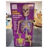 HOME ACCENTS HOLIDAY- COLOR CHANGING LED 12ft SKELLY LIGHTING KIT