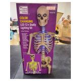 HOME ACCENTS HOLIDAY- COLOR CHANGING LED 12ft. SKELLY LIGHTING KIT
