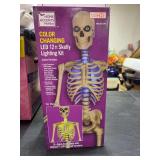 HOME ACCENTS- COLOR CHANGING LED 12 ft SKELLY LIGHTING KIT-