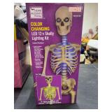 HOME ACCENTS- COLOR CHANGING LED 12ft SKELLY LIGHTING KIT