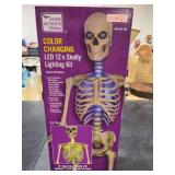 HOME ACCENTS HOLIDAY- COLOR CHANGING LED 12ft SKELLY LIGHTING KIT