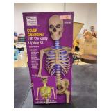 HOME ACCENTS HOLIDAY-  COLOR CHANGING LED 12ft SKELLY LIGHTING KIT