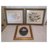 Group of Three Framed Botanical Prints by Anne Ophelia Dowden