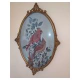 Oval Framed Cardinal Print with Ornate Gold Tone Scrollwork and Convex Glass
