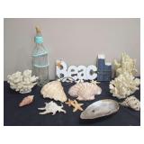 Coastal Decor Collection with Seashells, Coral, and Beach Sign