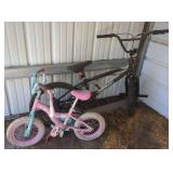 2 Bicycles: Mongoose Mode 180 BMX and Paw Patrol Children
