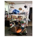 *Contents of rolling rack. Stuff that has