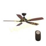 Home Decorators Collection Petersford LED 52"