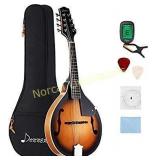 Donner A Style Mandolin Instrument Sunburst