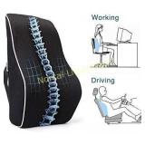 PROMIC Memory Foam Lumbar Support Back Cushion,