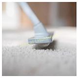 Quality Line Universal Carpet Rake | Effective &