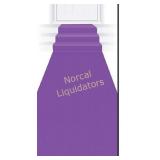 Beistle Purple Carpet Runners, 24