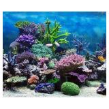 Aquarium Background Fish Tank Decorations
