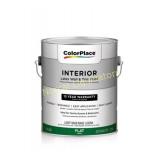 Color Place Interior Flat Light Paint Base feels