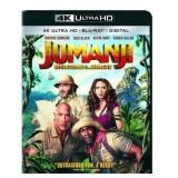 Jumanji: Welcome to the Jungle (4K Ultra HD +