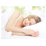 White Classic Down-Alternative Pillow for