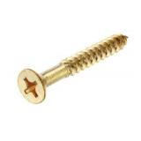 10 packs Hillman #12 x 2-1/2-in solid Brass Flat