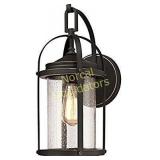 Westinghouse Lighting 6339300 Grandview One-Light