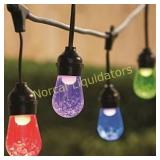 *Portfolio 24-ft 12-Light Plug-in Bulbs String