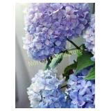 Pink Picasso paint by number Kits  Happily