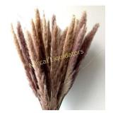 Dongliflower 60 Pcs Natural Small Pampas Grass,