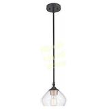 1-Light Pendant, Matte Black, Gold Accent Socket,