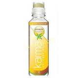 Karma Wellness Vitality Water, Pineapple Coconut