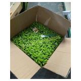 New Artificial hedge 6 of them 2 foot x 2 foot