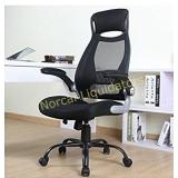 OWLN Ergonomic High Back Mesh Office Chair with