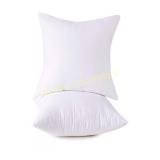 Set of 2, 100% Cotton Down Alternative Decorative