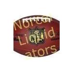 *  Wilson Official NFL ""Duke"" Leather Game