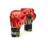 Everlast 12 oz Classic Training Gloves. Appears