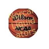 Wilson NCAA Replica Basketball 
Like new