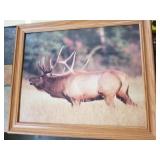 23in x 20in elk picture