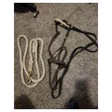 Bridal and lead rope