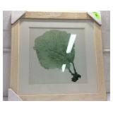 Framed Sea Fan Art K15E