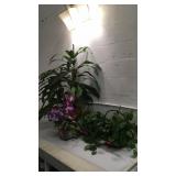 4 Faux Plants M7F
