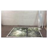 Decorative Forest Picture Z8B