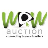 IMPORTANT WOW Auction News & Updates!
