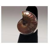 Sterling Silver Ammolite Fossil Fashion Ring SJC