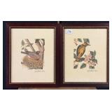 Meg Wheeler Hope Framed Bird Prints