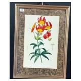 American Tiger Lily Print