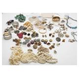 Costume Jewelry and Accessories Lot