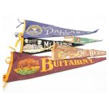 Vintage Souvenir Felt Pennants