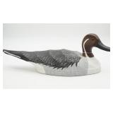 Northern Pintail Drake by Sam Green Frisco, NC