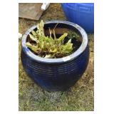 BLUE PLANTER