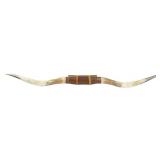 Vintage Mounted Longhorn Steer Horns
