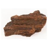 Fossilized Petrified Wood