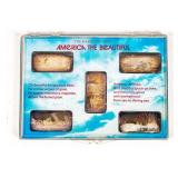 Coin America The Beautiful. .999 Silver 5 Ozt