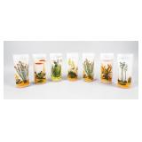 Set of 7 Vintage Blakely ï¿½Arizona Cactusï¿½ Glasses